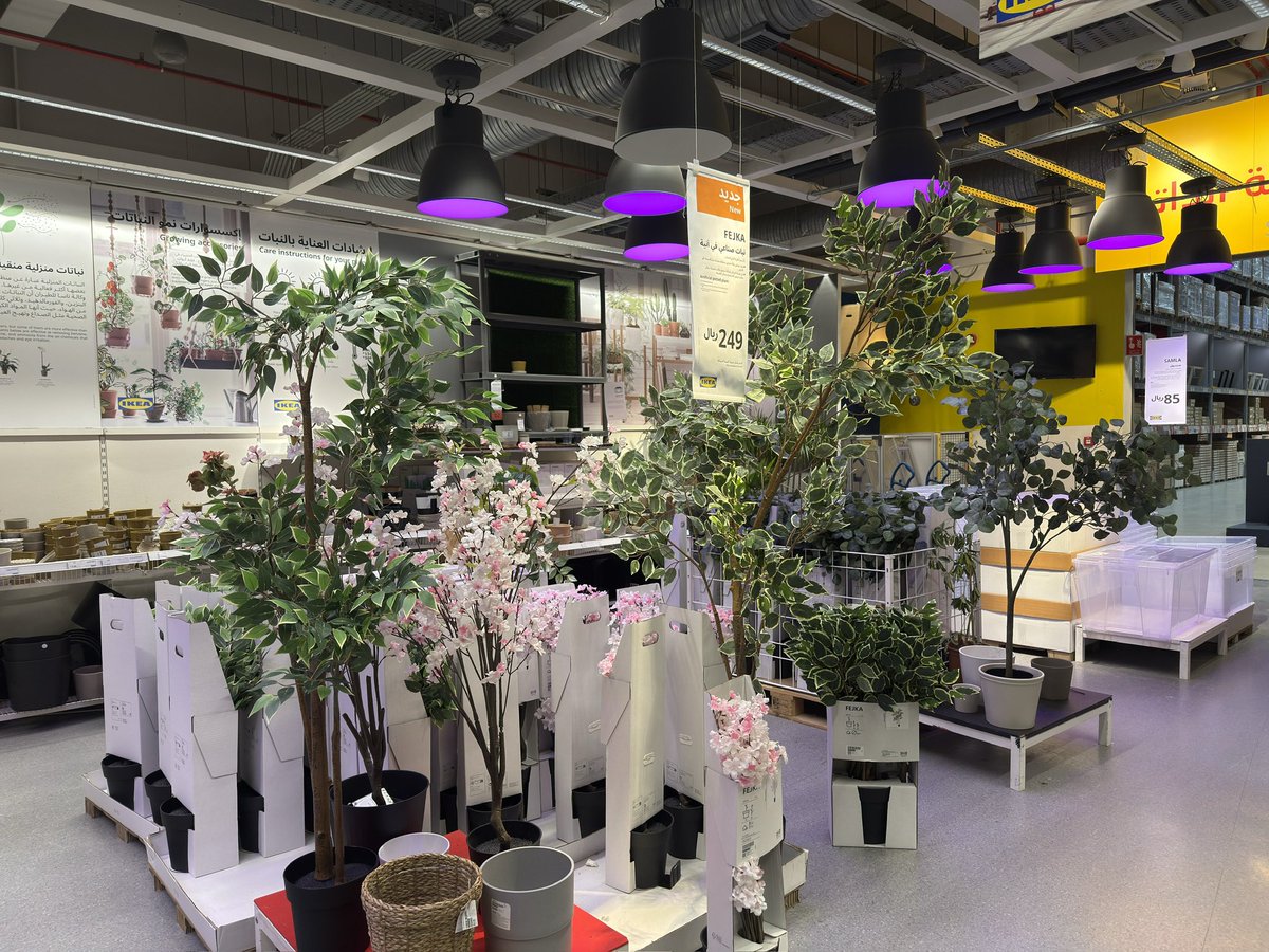 الهنوف tweet media