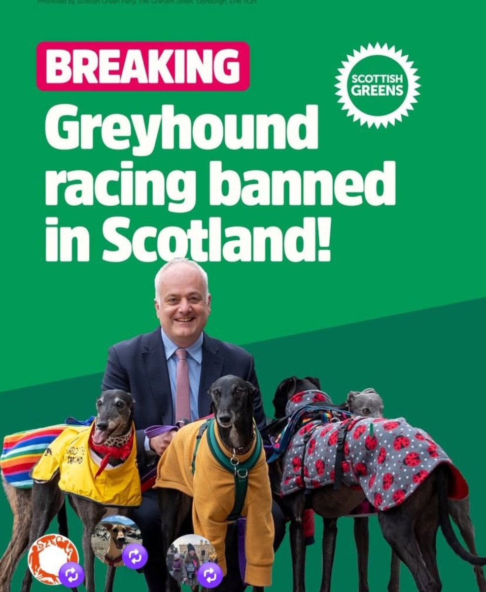 Greyhound Action Ireland tweet media