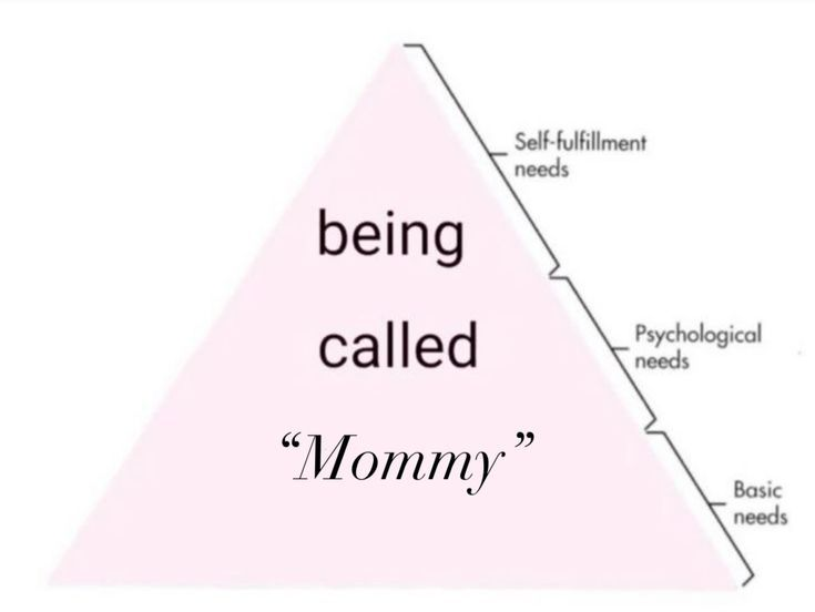 ivy! | dms open tweet media