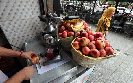 MetaPraxis tweet media