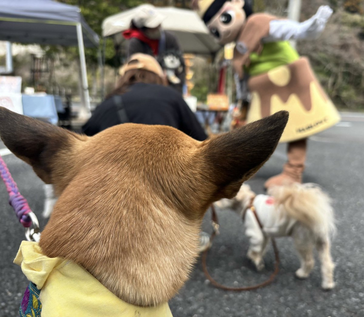 マーロウ【公式】 tweet media