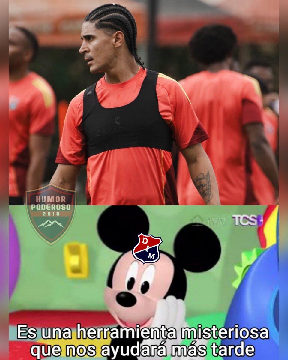 SOY DEL DIM tweet media