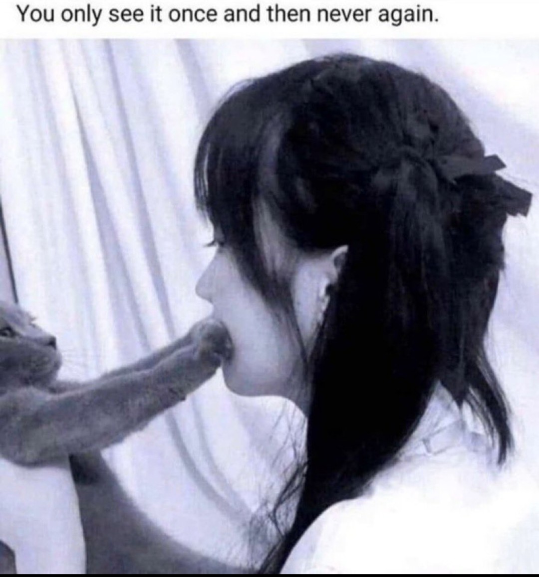 Proud Nobody 🖕 tweet media