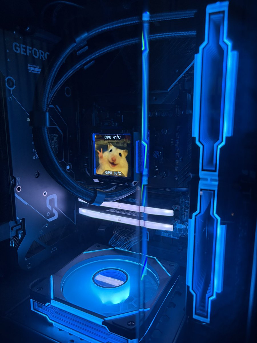 CHV/AKV Sheelf tweet media