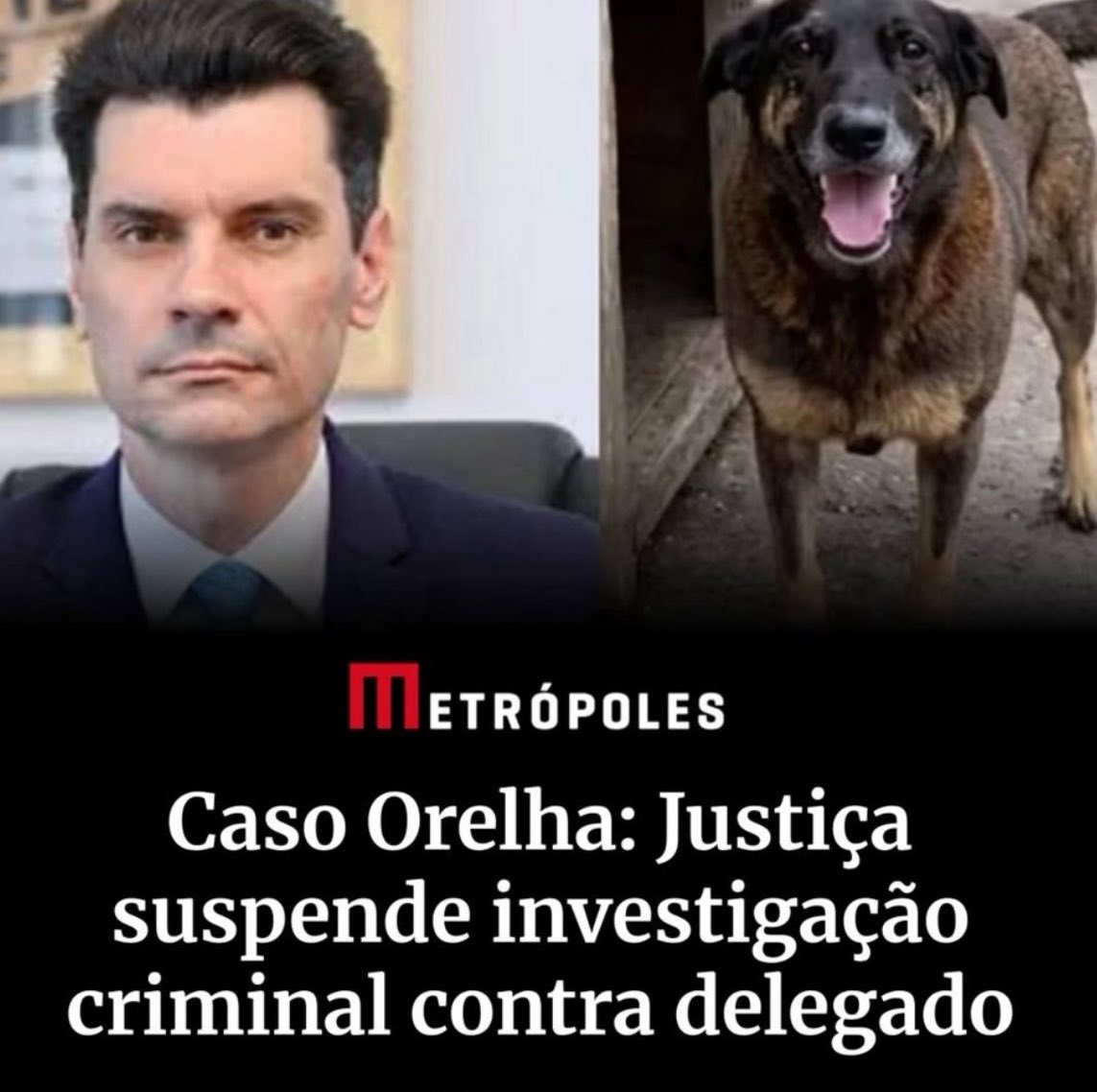 É OFICIAL: SOMOS PALHAÇOS 🎪

Em menos de três dias que foi aberto o inquérito de investigação contra o delegado Ulisses, a justiça SUSPENDEU sem nenhuma justificativa, do dia pra noite, a investigação. 3 meses se passaram e seguimos sem notícias do Caramelo.