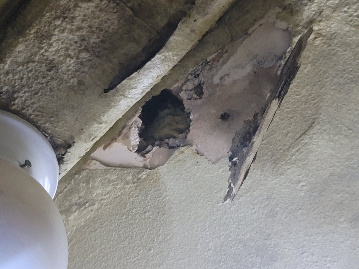 Mr BN King™👑 tweet media