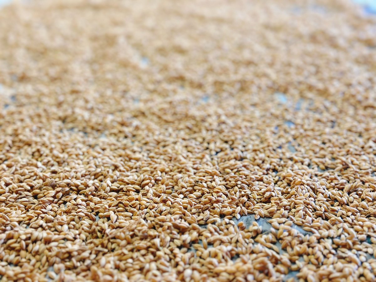 高内 実【瀬戸内まいふぁーむ】 tweet media