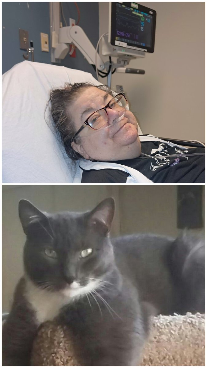 Brian Francis Nearey tweet media