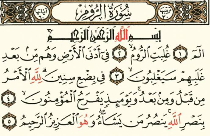 Adham Zied 🇩🇿🔻🇵🇸 tweet media