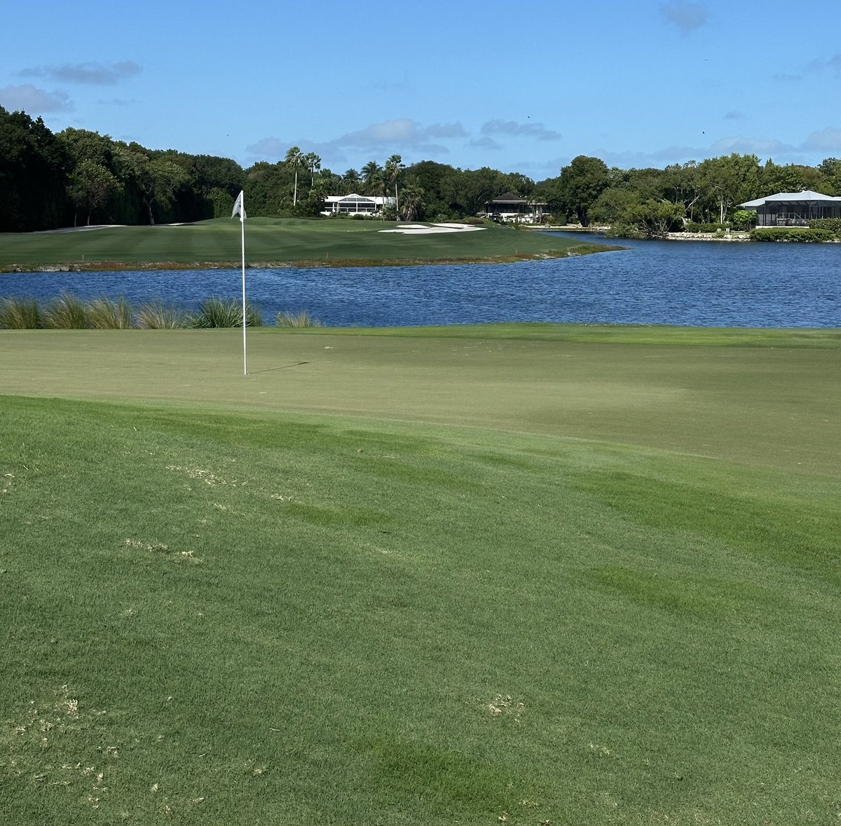 Country Club Casual tweet media