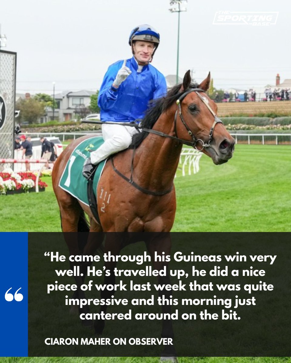 The Sporting Base - Horse Racing tweet media