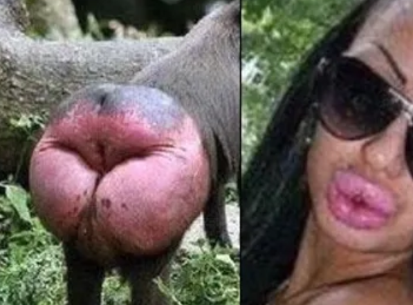 s🎸W👀t tweet media