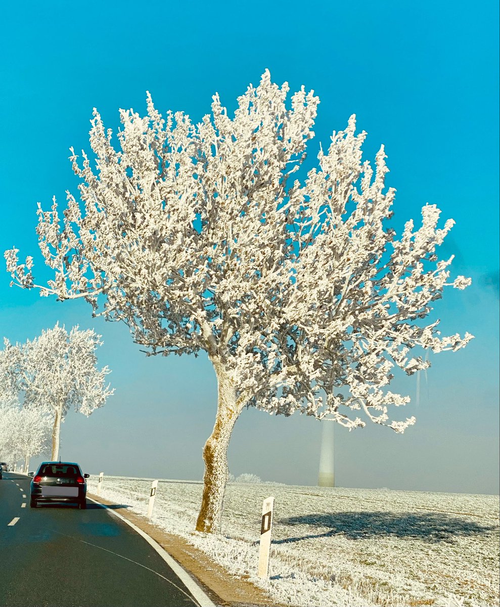 BoocaMart tweet media