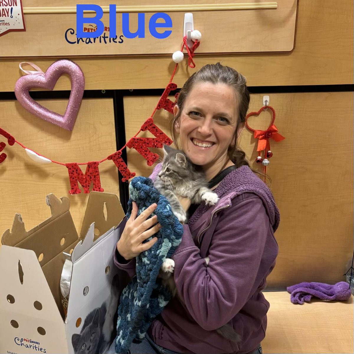 Itsie Bitsie Rescue tweet media