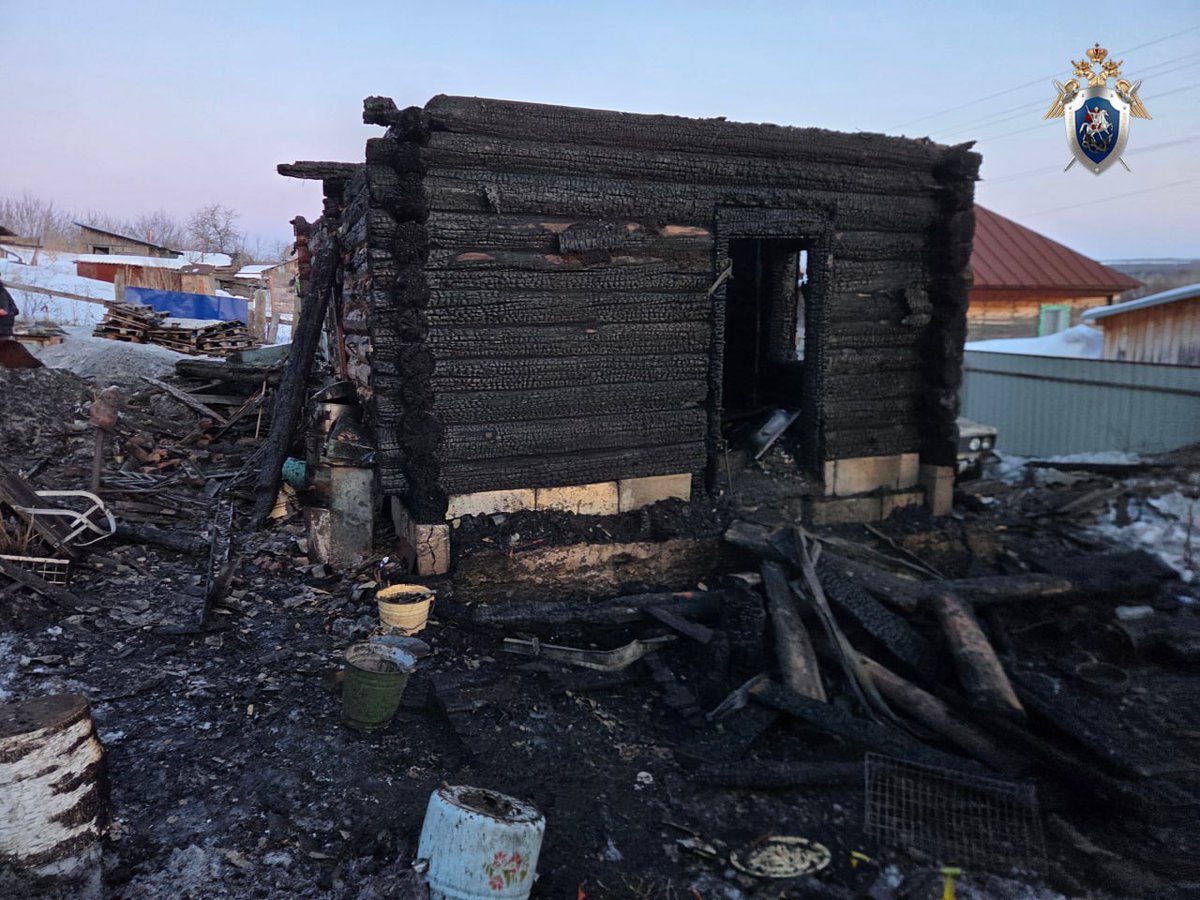 Сибирь Пост tweet media