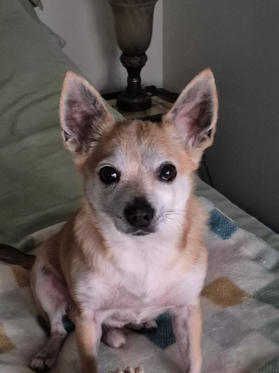 Michelle Redding Yancey tweet media