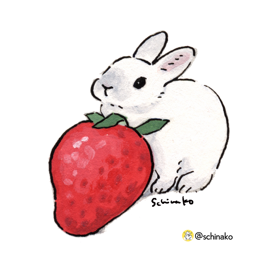 森山しなこ/Schinako🐇イラストとマンガ tweet media