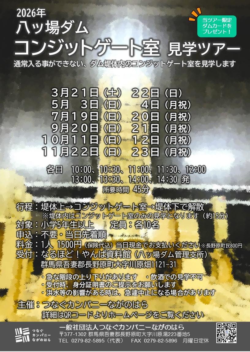 mlit_yamba_D's tweet photo. 【広報員のなるほど！八ッ場ダム】3/21(土)、3/22(日)に、通常入ることが出来ないダム堤体内に入れる大迫力のコンジットゲート室 見学ツアーが開催されます！当日受付となりますので、お立ち寄りの際は是非ご体験ください✨1日9回開催予定・各回先着10名様まで。
＃八ッ場ダム https://t.co/TgvJau78jy