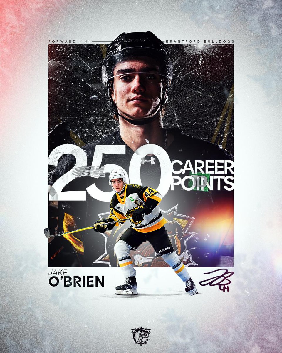 Brantford Bulldogs tweet media