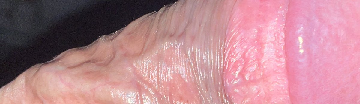 NOVINHO VEIUDO 20 tweet media