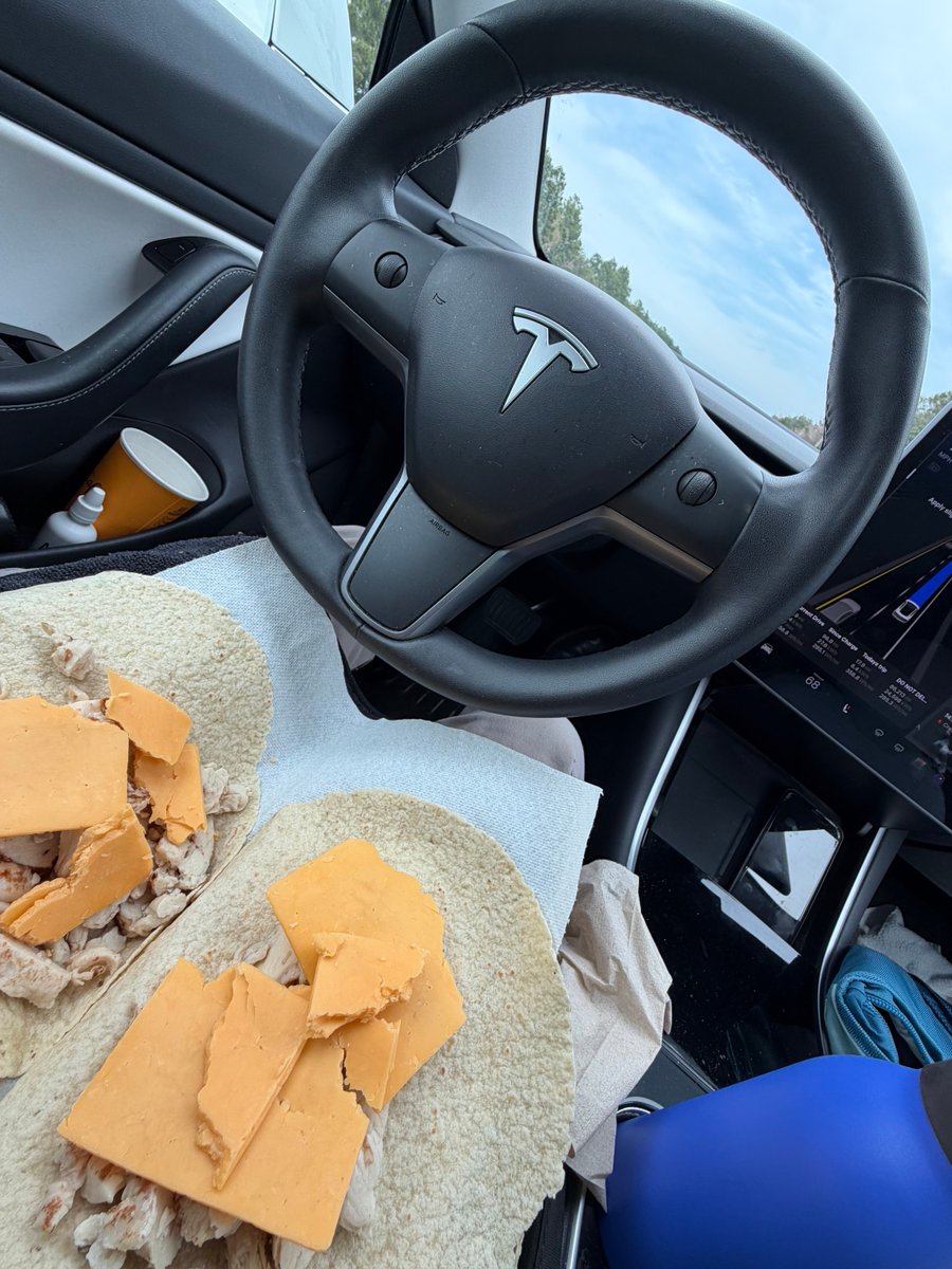 🏠❎ The. Blind. Squirrel. ❎ 🏠 tweet media