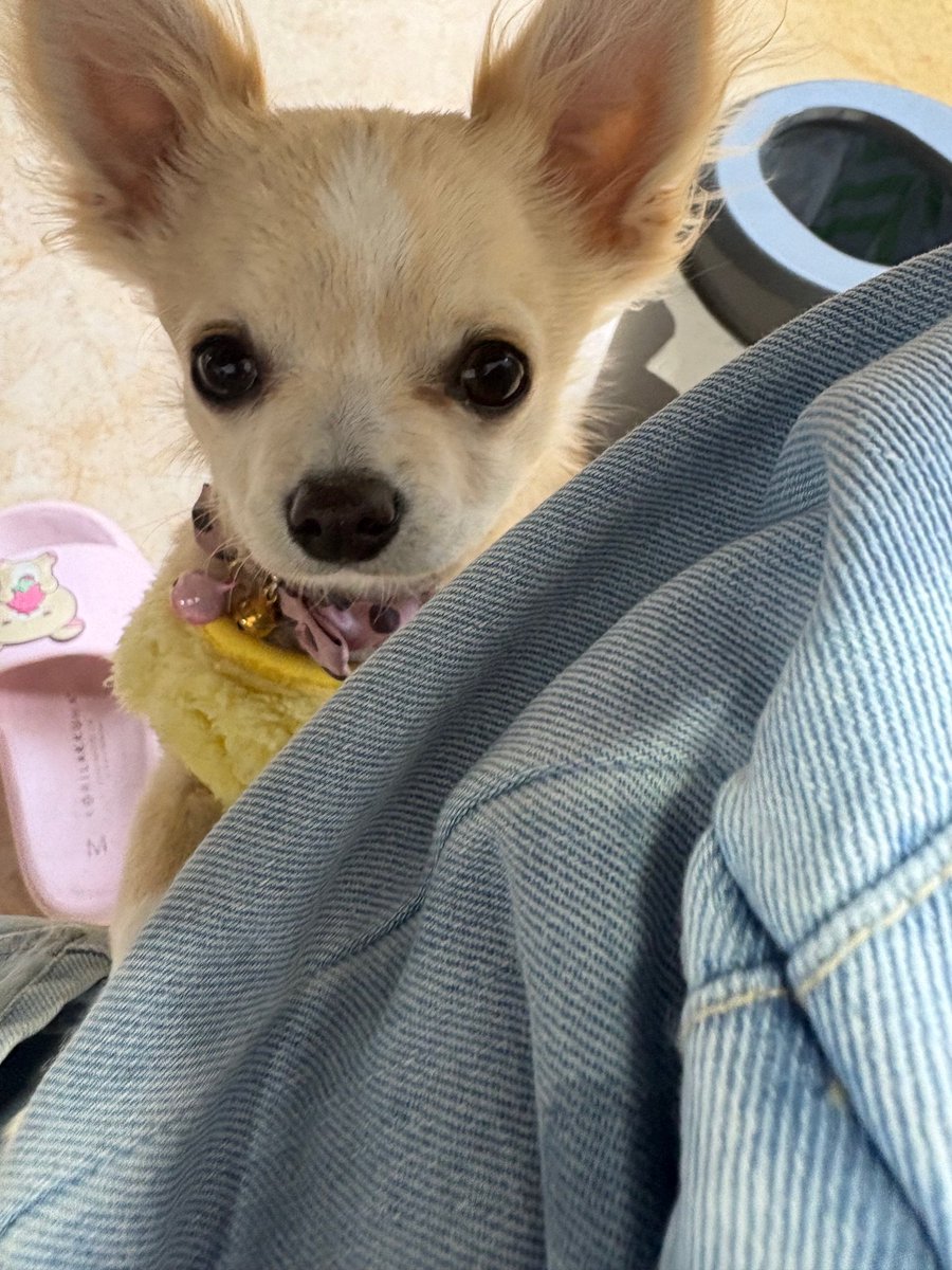 合同会社エースプランニング tweet media