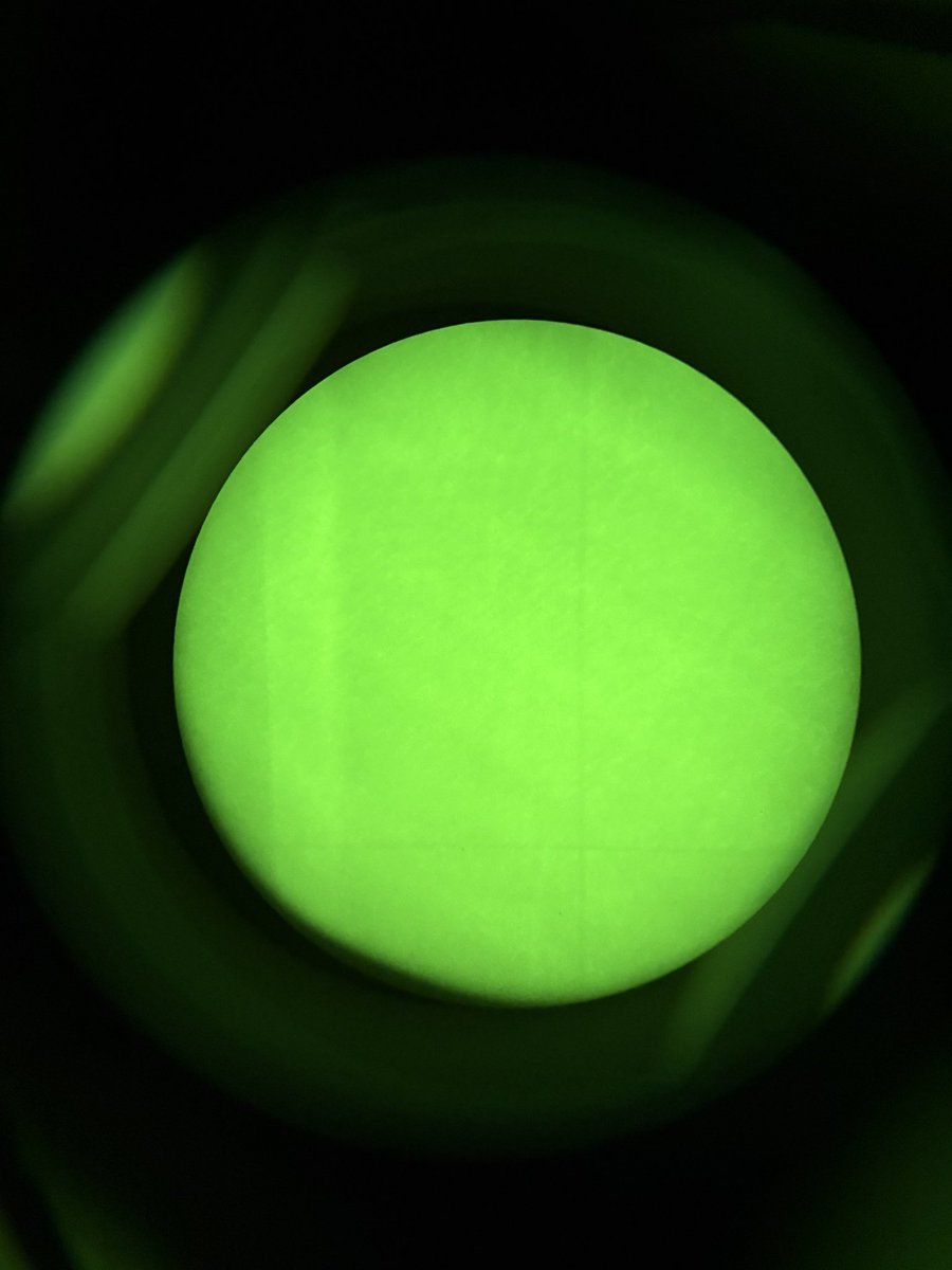 Raian/라이안 tweet media