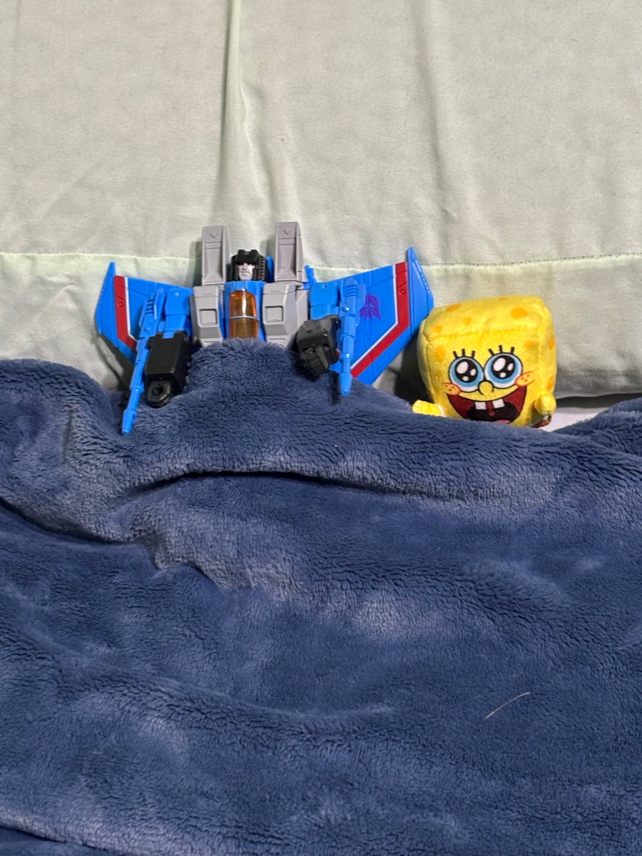sillyzstarzz_'s tweet image. why’re they #snug as bugs in a rug