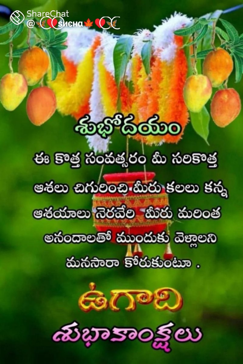 Vasu Parchuri tweet media