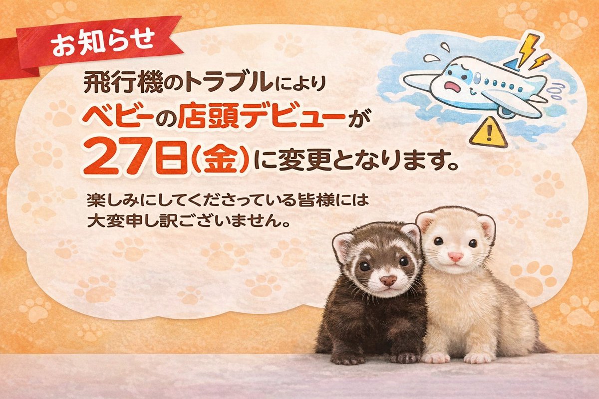 フェレット専門店フェレットリンク tweet media