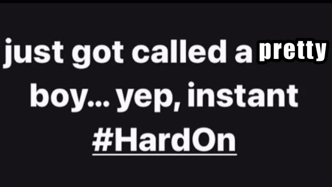 ivy! | dms open tweet media