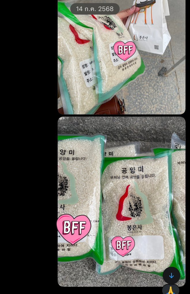 丽芳❄️ tweet media