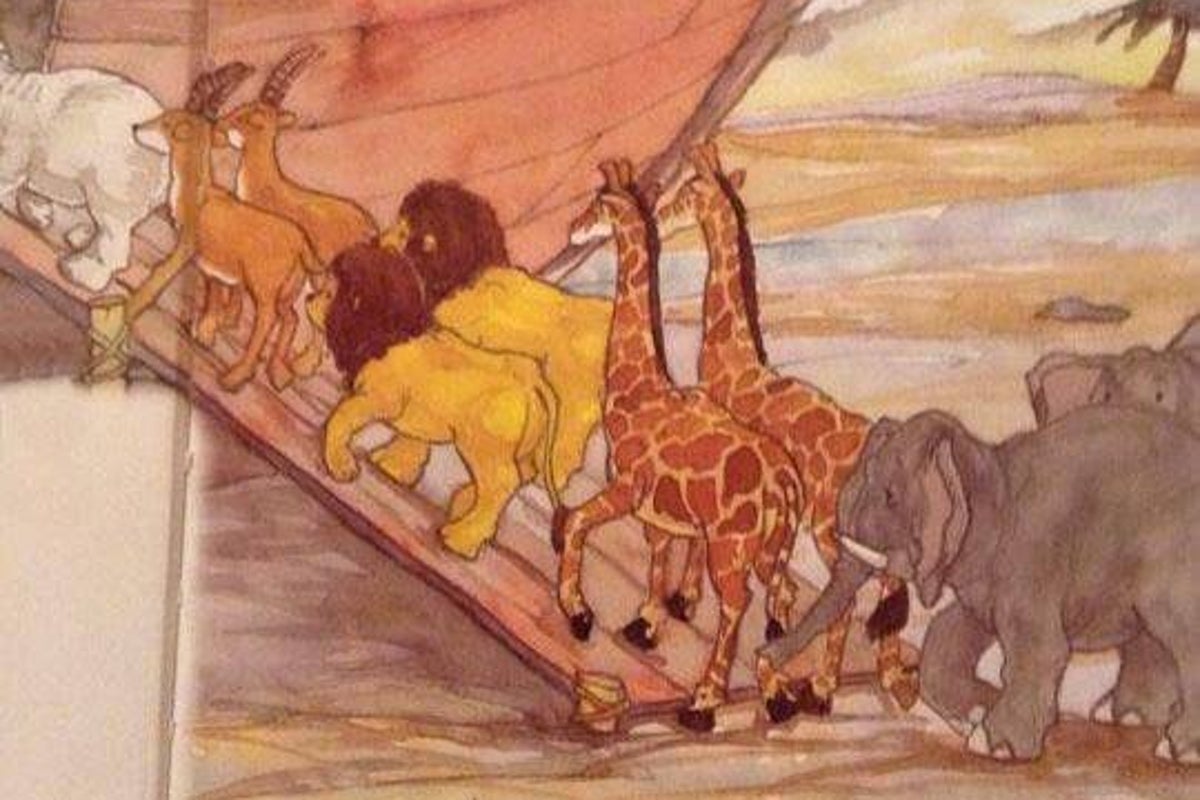 ׂ╰┈➤TrainerDusk tweet media