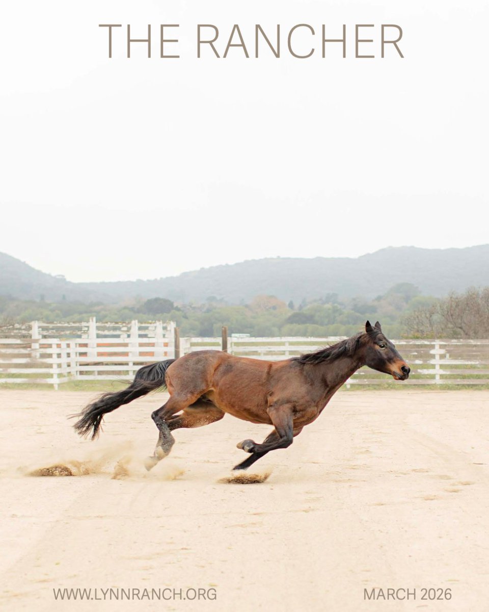 Ventura County Supervisor Jeff Gorell tweet media