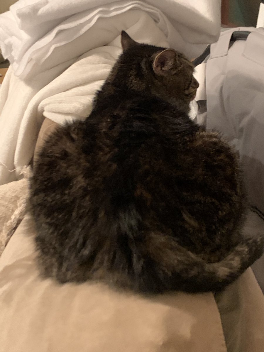 Sam Robb tweet media