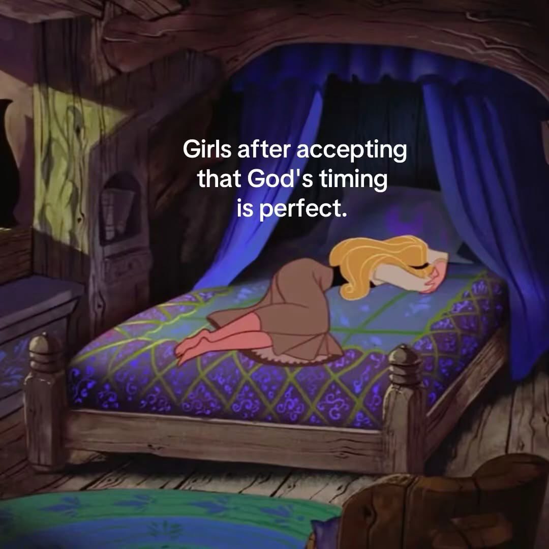 Isabelle Krause tweet media