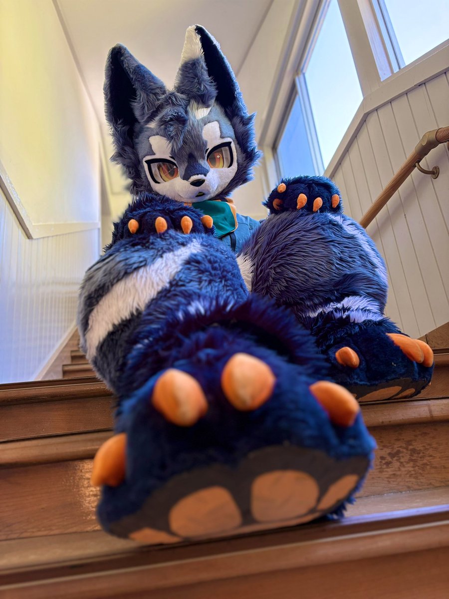 遷神 モコチュウ ▶︎リウリ会4〜12月▶︎OFFF tweet media