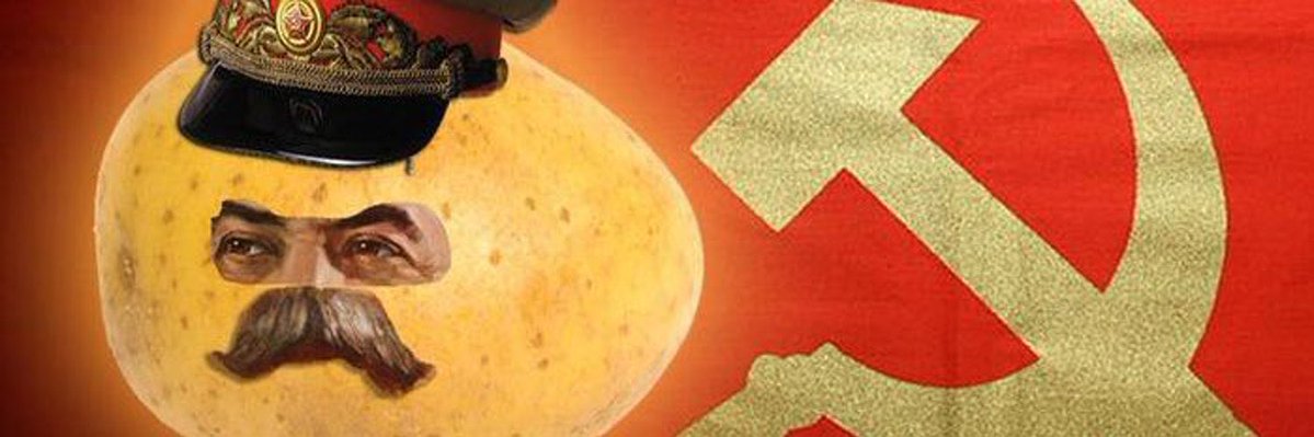 ☀️AliquisNovus☀️ tweet media