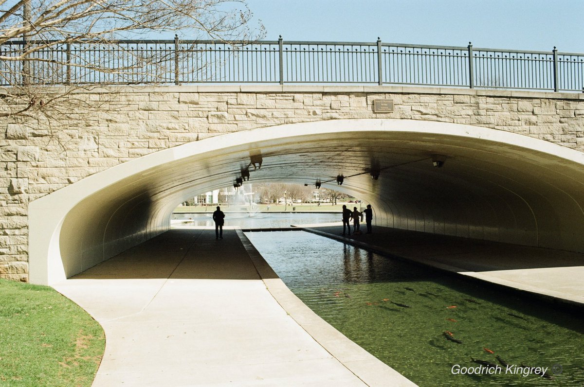 D. Goodrich Kingrey, Author tweet media