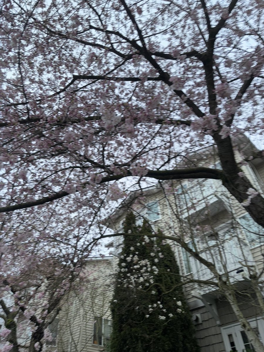 Horned Sphere tweet media