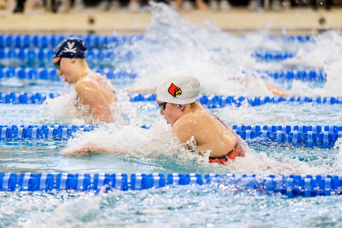 Louisville Swim & Dive tweet media