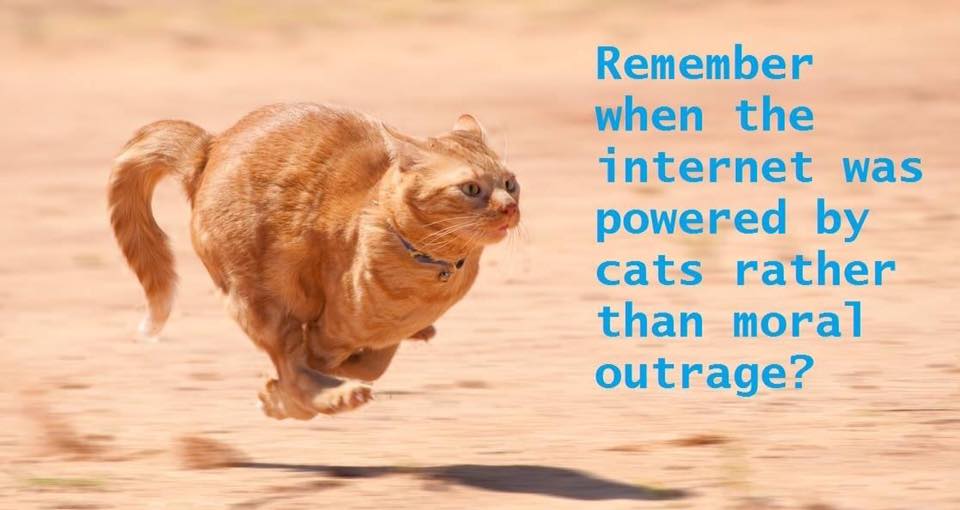 Been on these here interwebs for a long time...