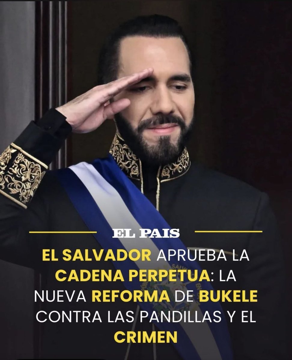 Alvaro Perrone 5️⃣1️⃣0️⃣ tweet media