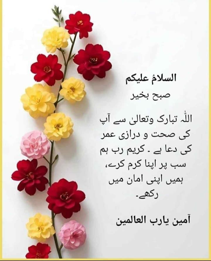 Afnan khan tweet media