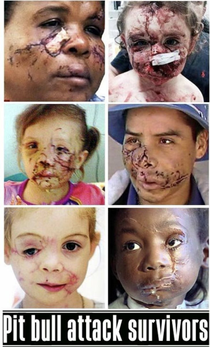 🦇I🦇Morticia🦇 tweet media