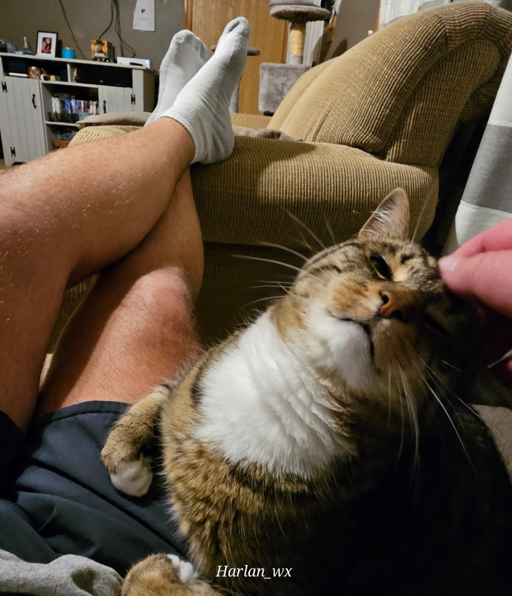 That Cold Kentucky Rain🌧 tweet media