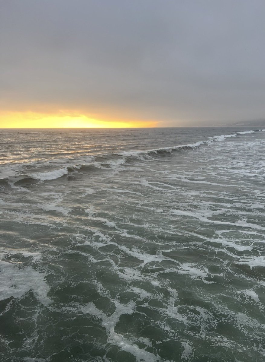 The Midnight Run tweet media