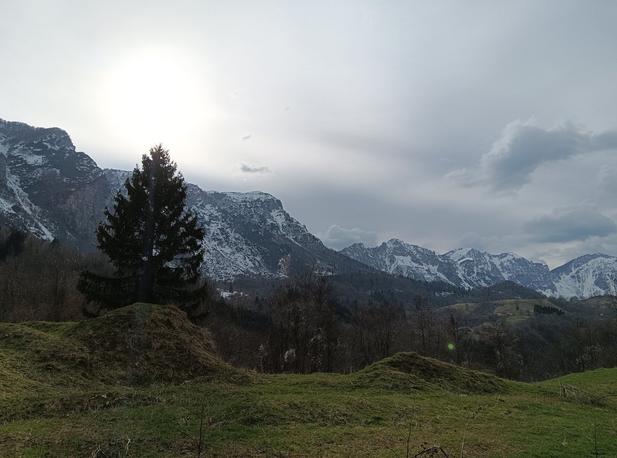 Climate Warrior🐬 #ClimateJustice🇵🇸🏳️‍⚧️🏳️‍🌈 tweet media