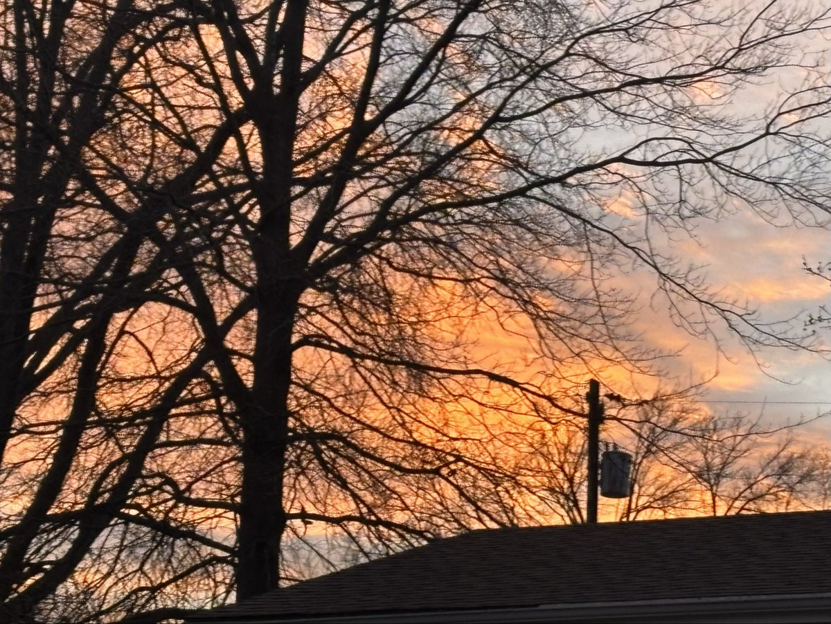 Jim Cleary tweet media