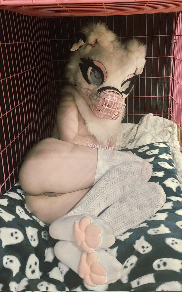Fidget The Bat🦇 tweet media